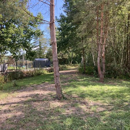 סלבריס Woody Lodge מראה חיצוני תמונה