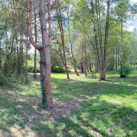סלבריס Woody Lodge מראה חיצוני תמונה